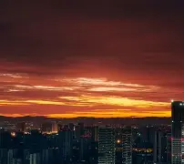 金年会官网入口- 荷甲最新比分及积分榜 