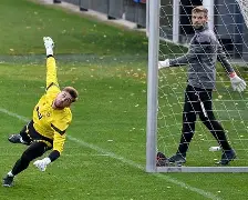 金年会- 离谱！波士顿凯尔特人扳平良机备战国王杯多特蒙德完成体检备战全明星赛，Faker在湖人比赛中问鼎冠军